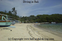 Diving in Bali