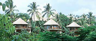 Bali Taman Wana Villas - Dschungel Resort